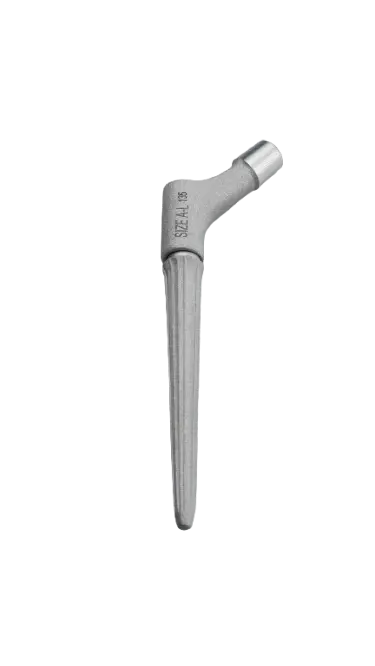 Moduler Cone Femoral Stem
